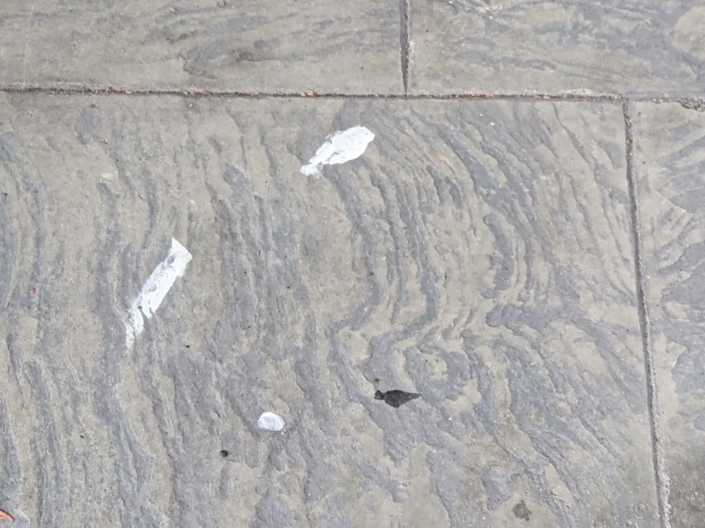 Slide of Cruz Services