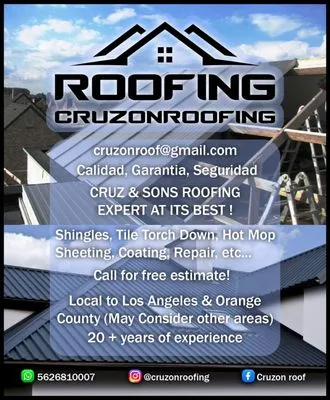 Cruzon Roof Logo