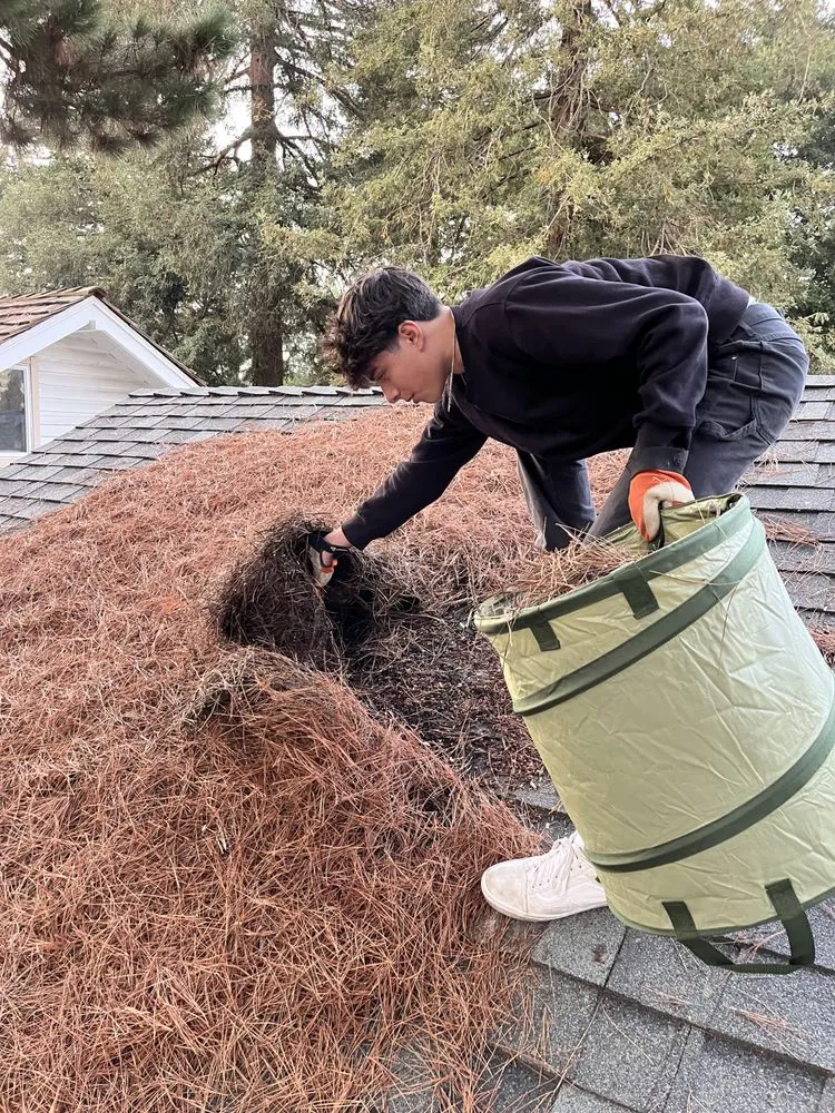Slide of Crystal Exterior Cleaning