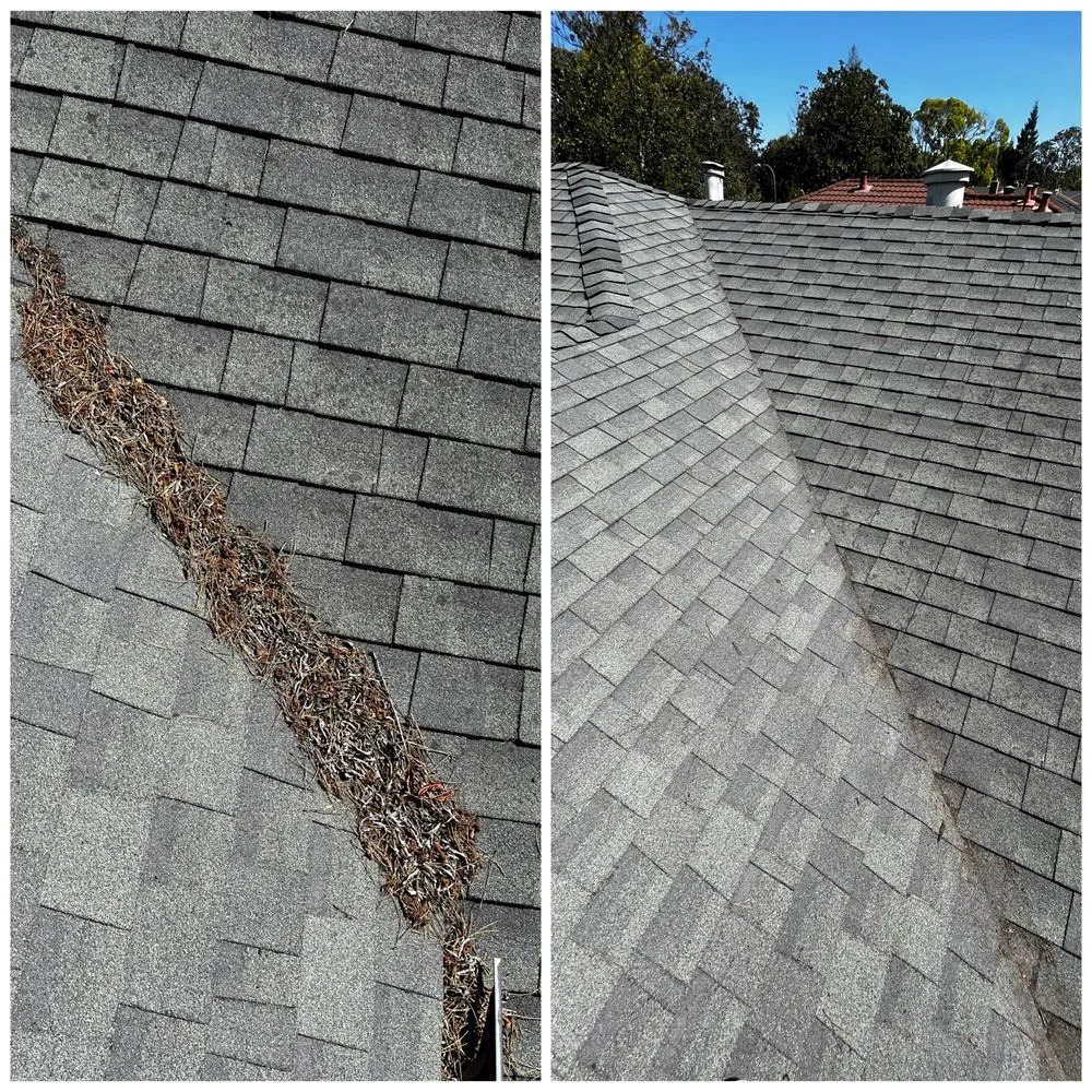 Slide of Crystal Exterior Cleaning