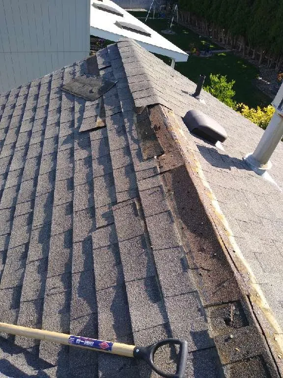 Slide of Crystals Roofing