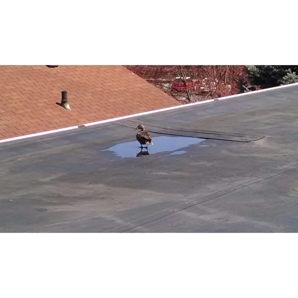 Slide of CS Roofing Company