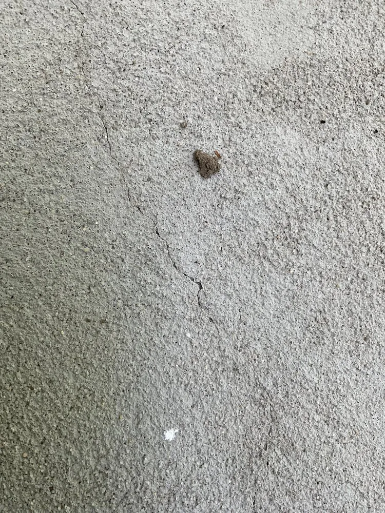 Slide of CSB Construction