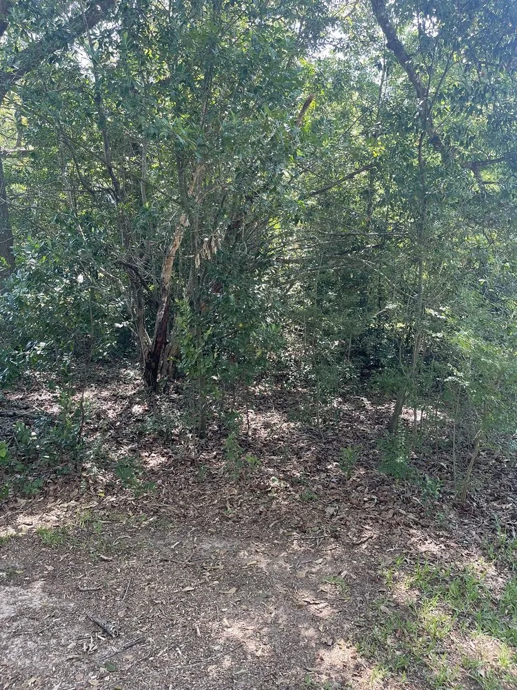 Slide of CSJ Home Solutions