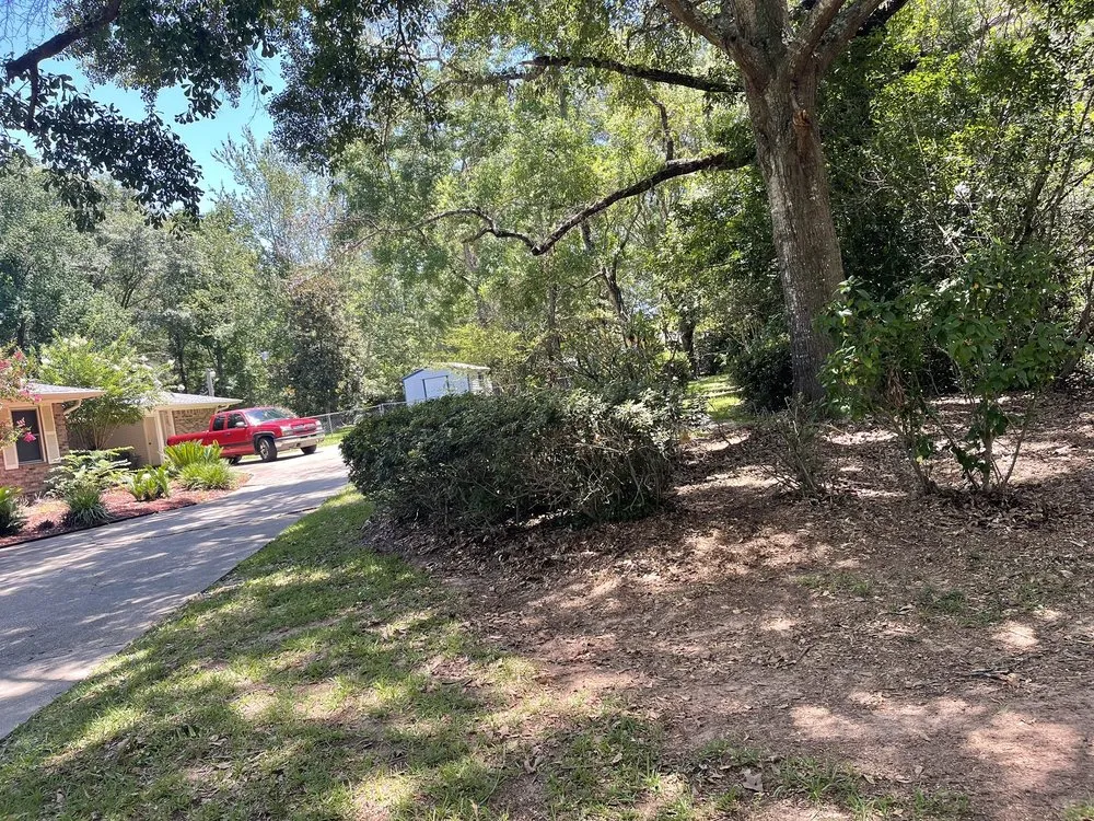 Slide of CSJ Home Solutions