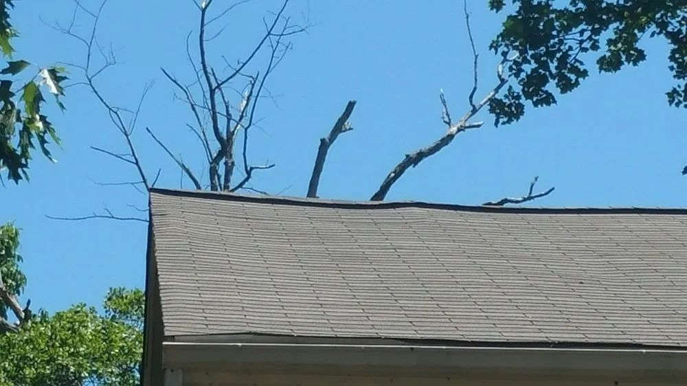 Slide of Cti Property Services