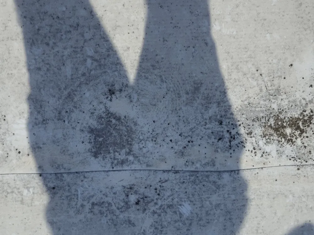 Slide of Cunningham Restoration