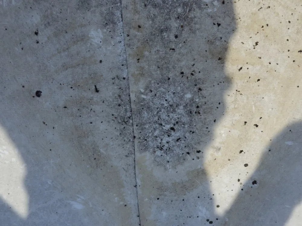 Slide of Cunningham Restoration