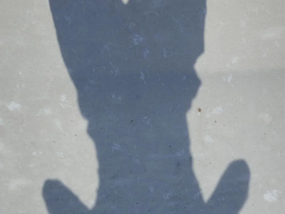 Slide of Cunningham Restoration