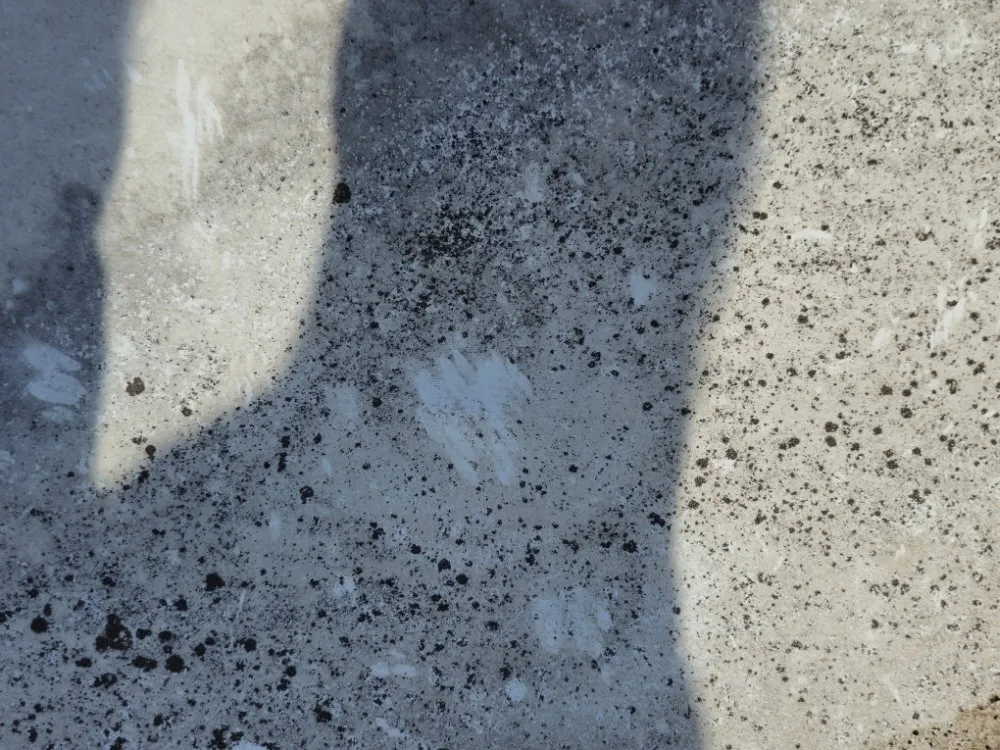 Slide of Cunningham Restoration