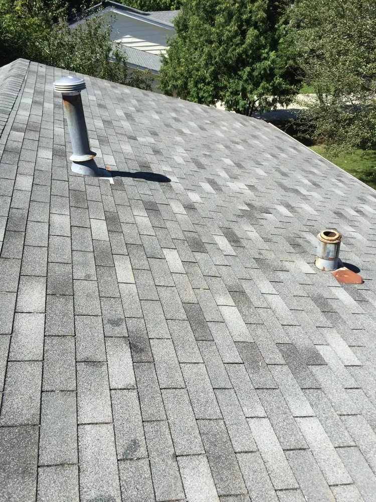Slide of Curb Appeal Roof Cleaning