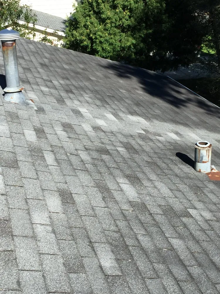 Slide of Curb Appeal Roof Cleaning