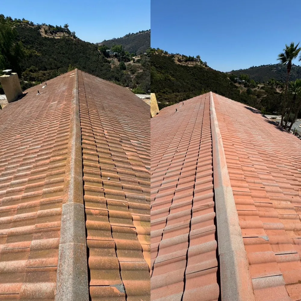 Slide of Curbside Softwash