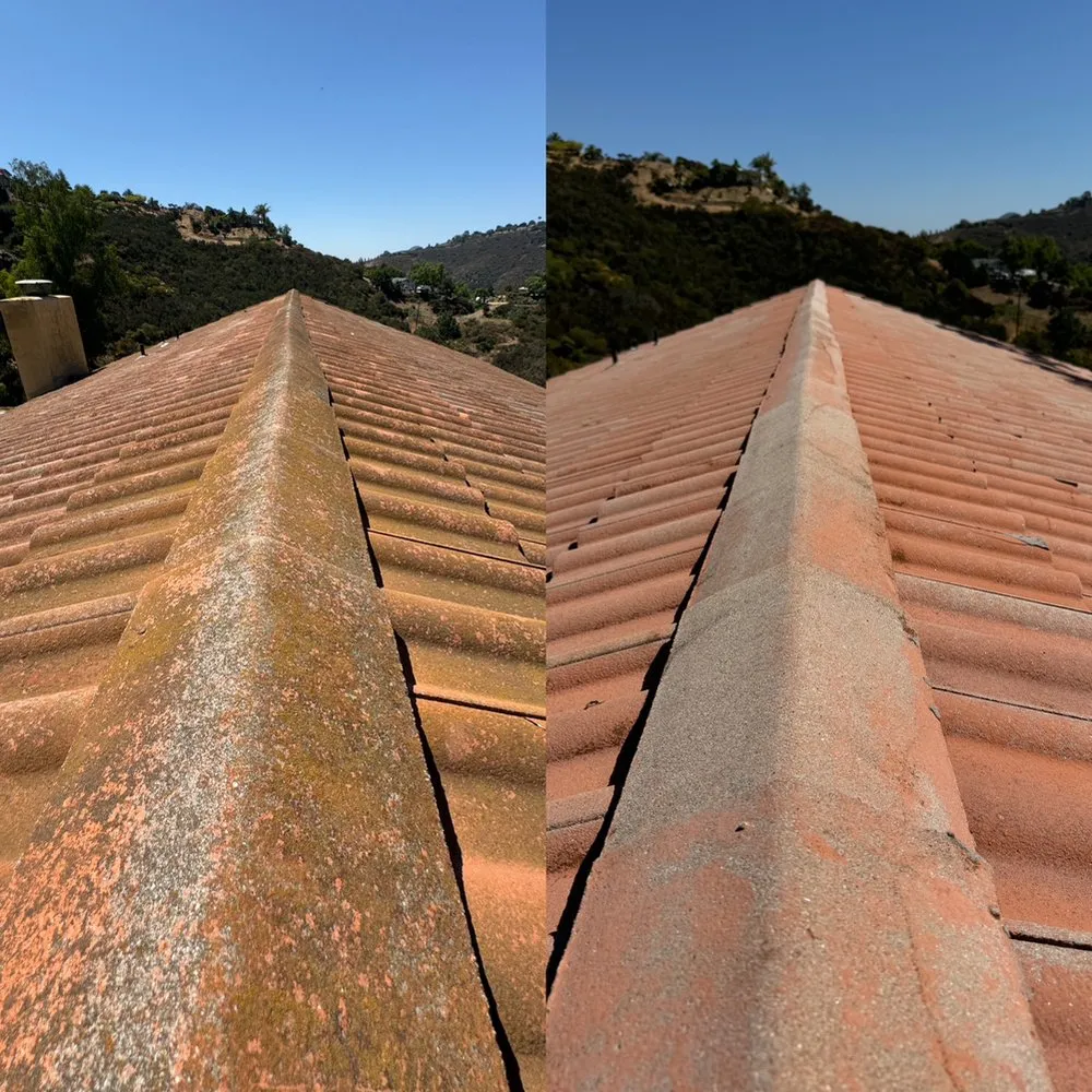 Slide of Curbside Softwash