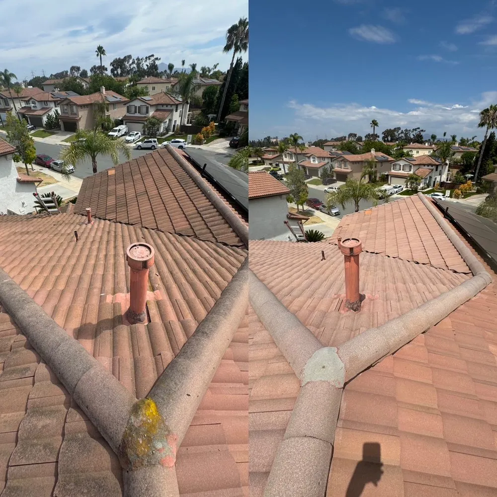 Slide of Curbside Softwash