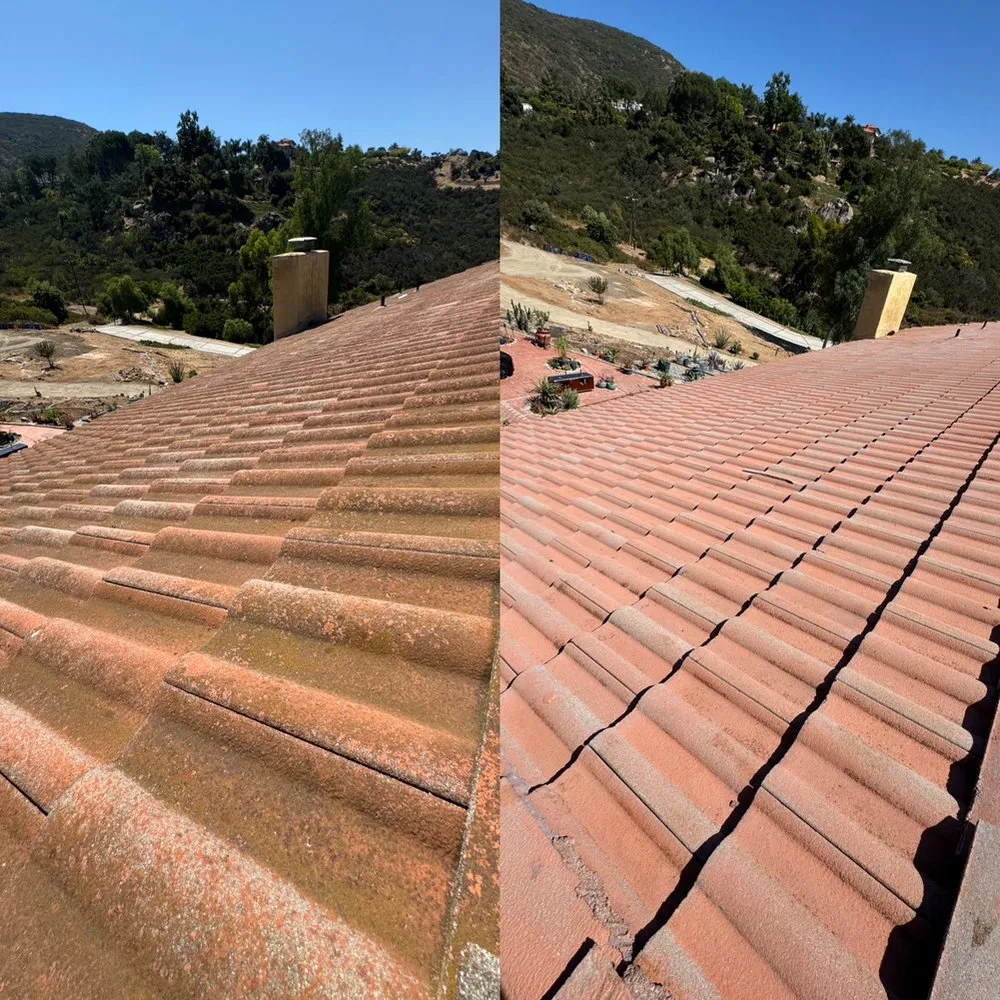 Slide of Curbside Softwash