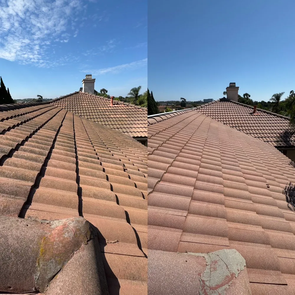 Slide of Curbside Softwash