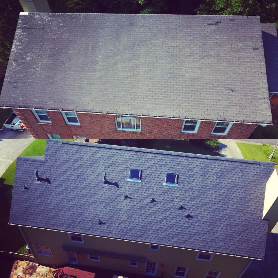 Slide of Curvelo Restorations