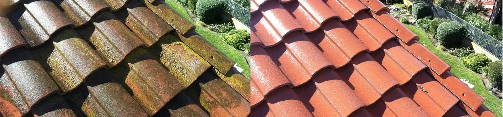 Slide of Custom Coating Restorations