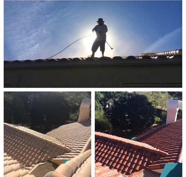 Slide of Custom Coating Restorations