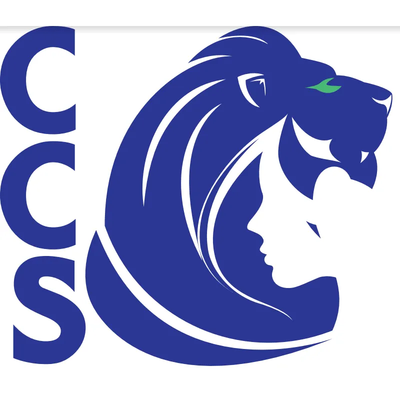 Slide of Custom Construction Services