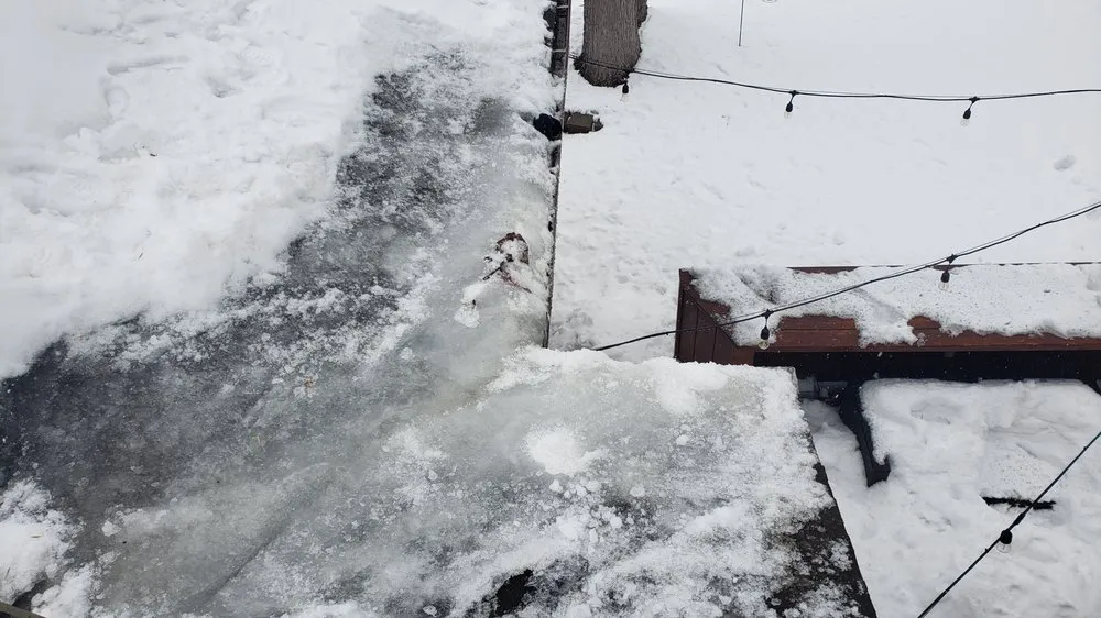 Slide of Custom Garage To Roof Restoration
