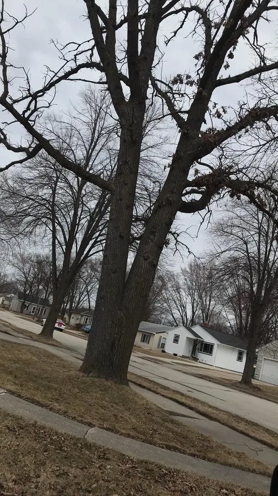 Slide of Custom Roofing & Tree Specialists