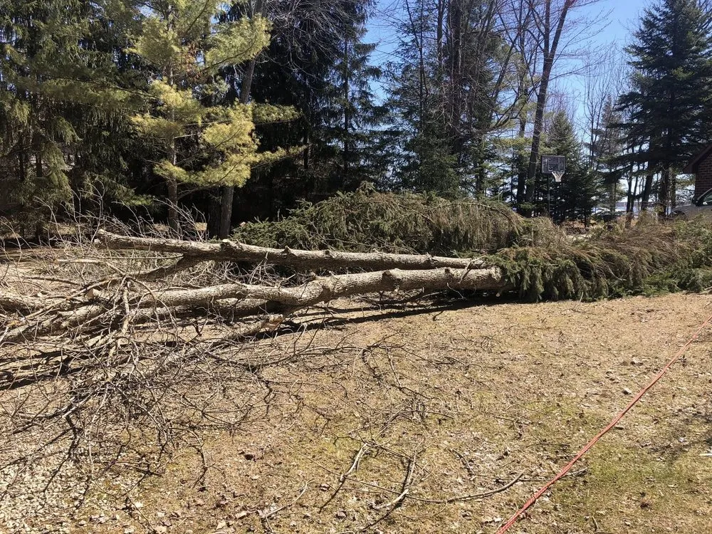 Slide of Custom Roofing & Tree Specialists