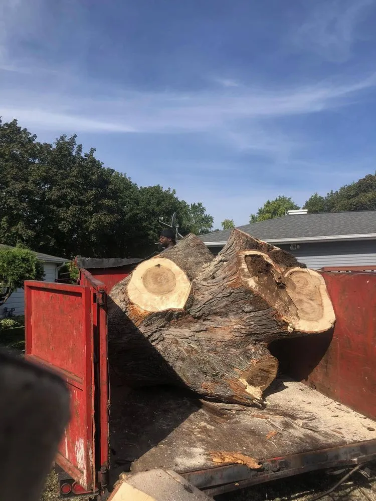 Slide of Custom Roofing & Tree Specialists