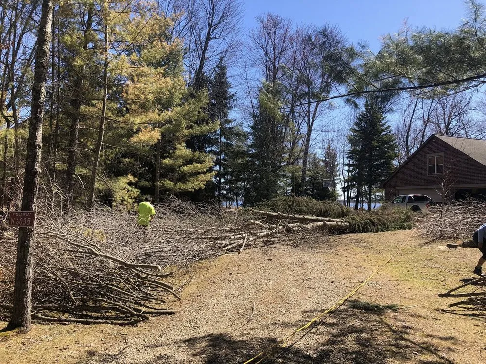 Slide of Custom Roofing & Tree Specialists