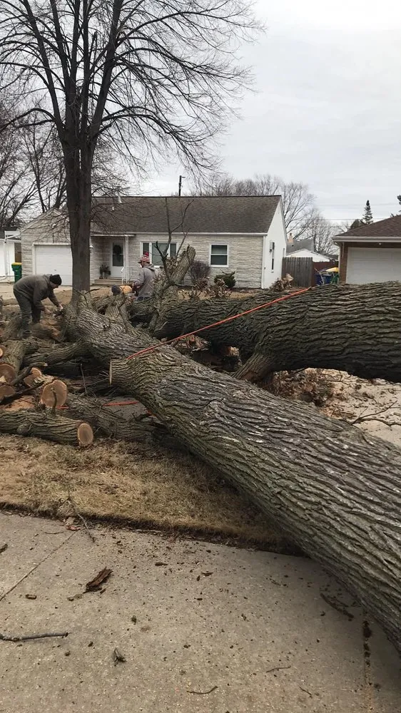 Slide of Custom Roofing & Tree Specialists