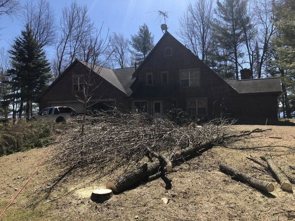 Slide of Custom Roofing & Tree Specialists