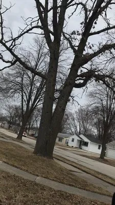 Custom Roofing & Tree Specialists Logo