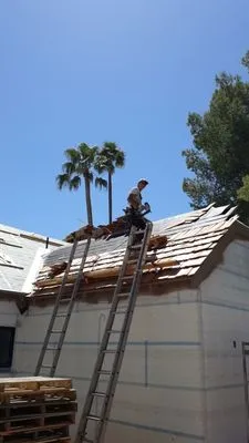 Custom Shingles & Shakes Logo