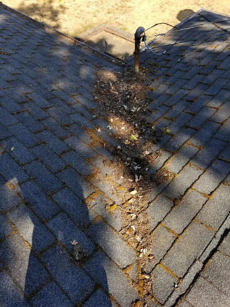 Slide of Cutting Edge Building Maintenance