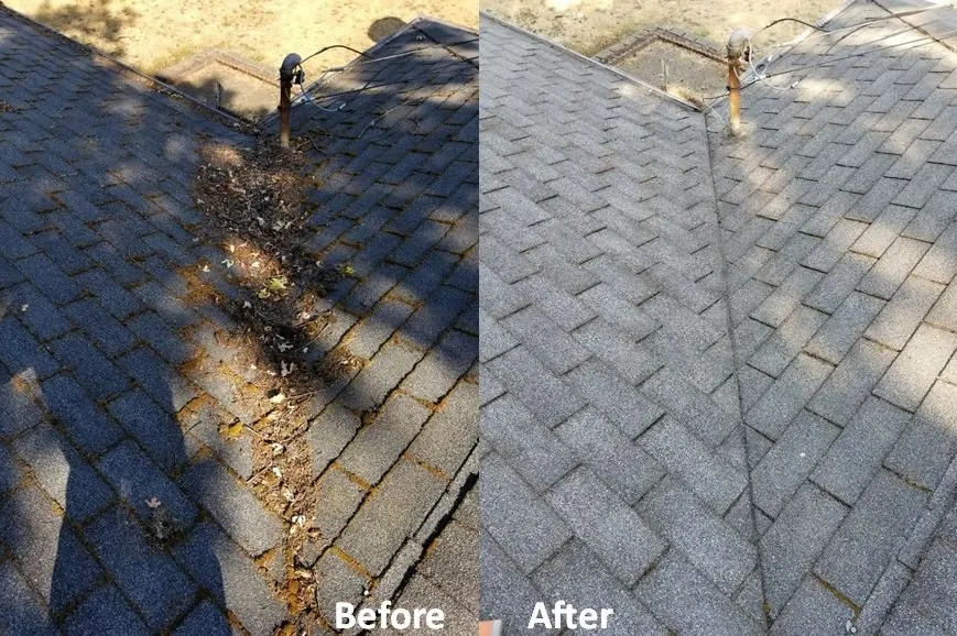 Slide of Cutting Edge Building Maintenance