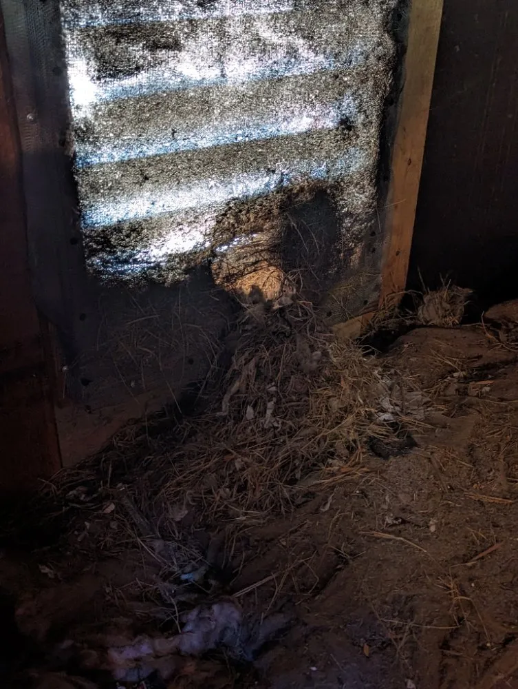 Slide of Cutting Edge Roofing