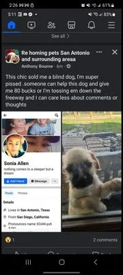 Cyberdyne Roofing and Handyman Services Logo