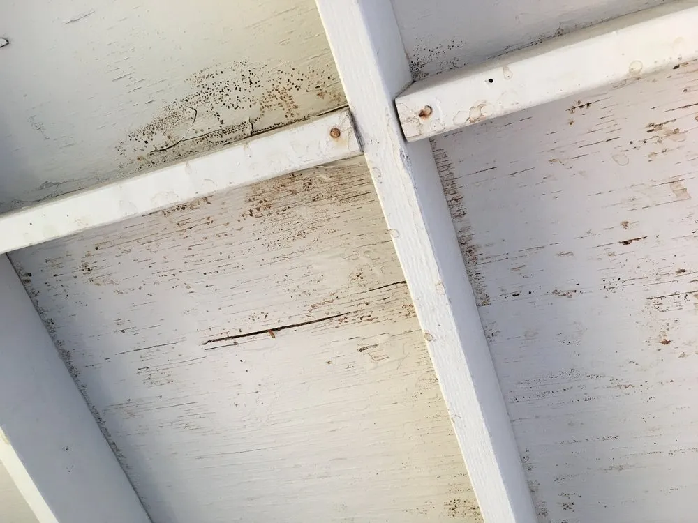 Slide of D & M Roofing