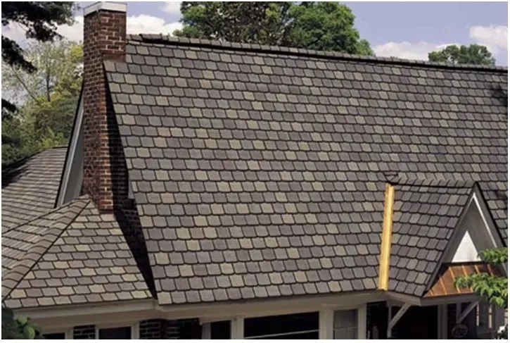 Slide of D B roofing