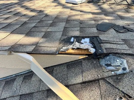 D Bassett Roofing & Renovation