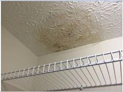 Slide of D G Enterprises