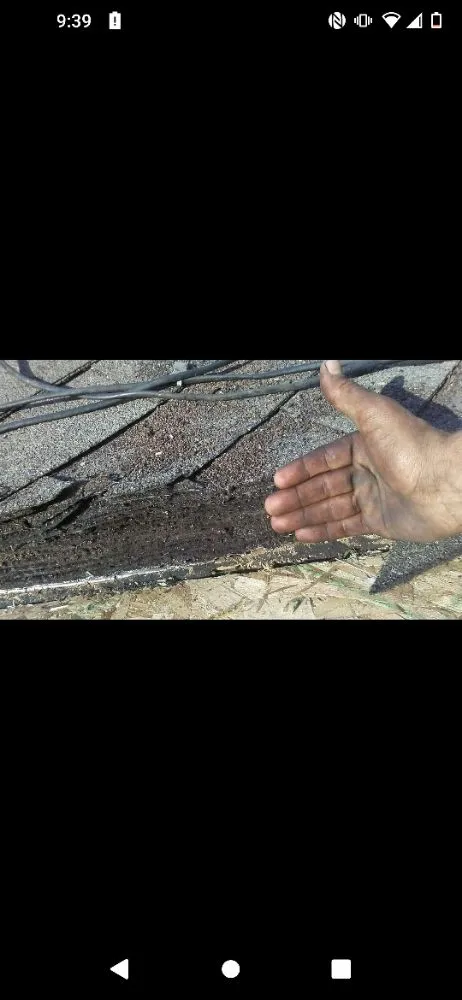 Slide of D M S Home's