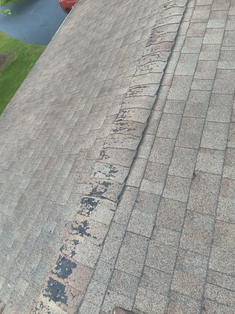 Slide of D M S Home's