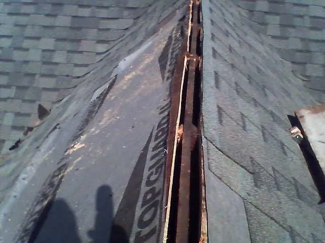 Slide of D S Brody & Associates