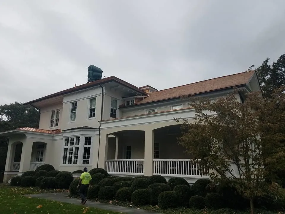 Slide of D Simonetti