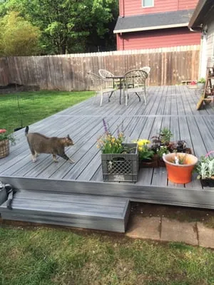 D W Hart Woodworking Logo