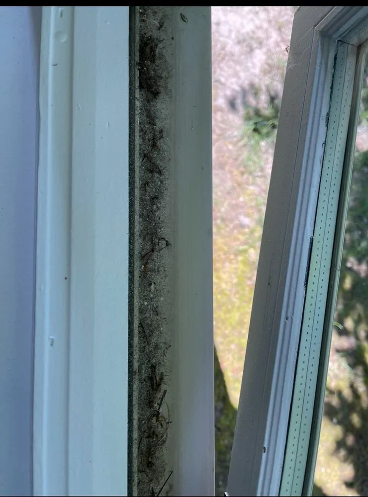 Slide of D-Wing Construction