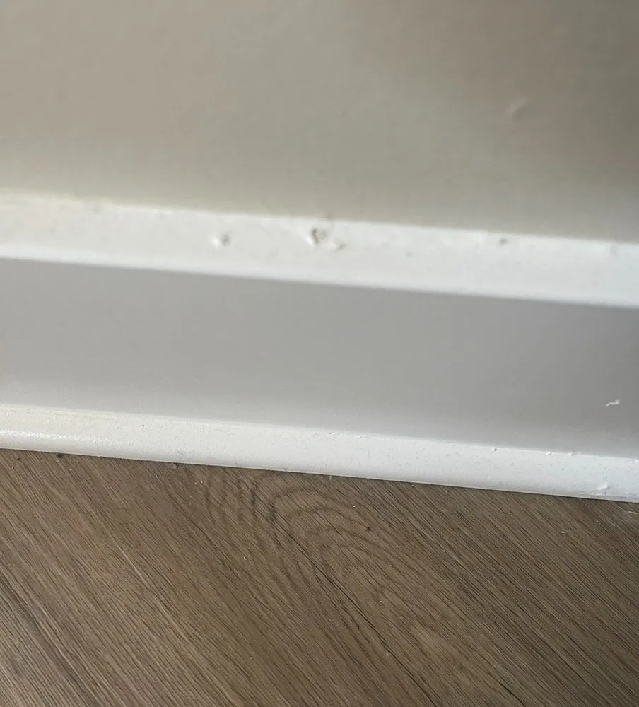 Slide of D-Wing Construction