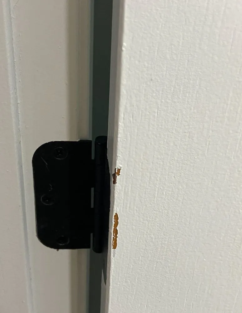 Slide of D-Wing Construction